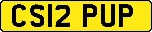 CS12PUP