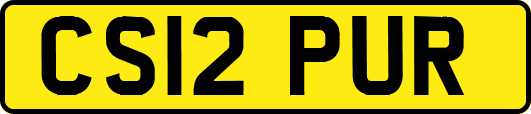 CS12PUR