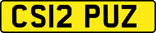 CS12PUZ