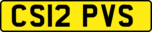 CS12PVS