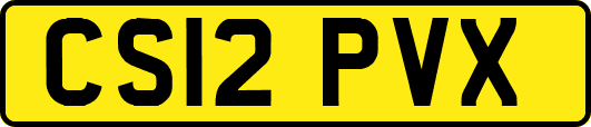 CS12PVX