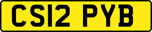 CS12PYB