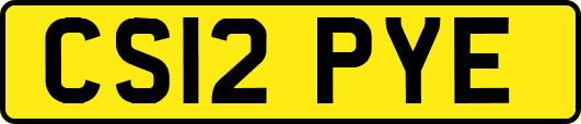 CS12PYE