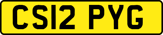 CS12PYG