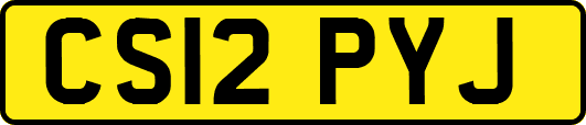 CS12PYJ