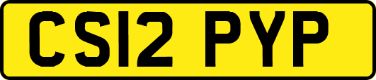CS12PYP