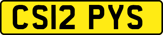 CS12PYS