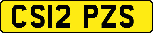 CS12PZS