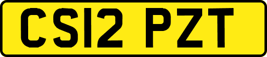CS12PZT