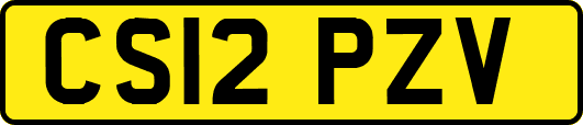 CS12PZV