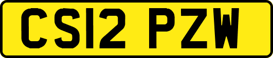 CS12PZW