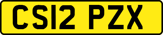 CS12PZX