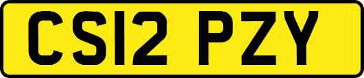 CS12PZY