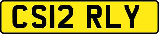 CS12RLY