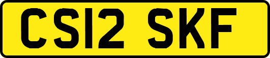 CS12SKF