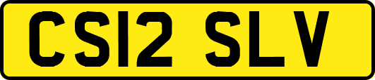 CS12SLV