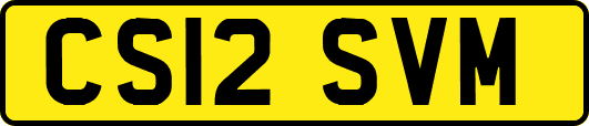 CS12SVM