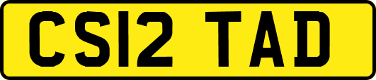 CS12TAD