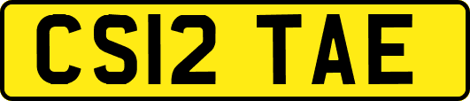 CS12TAE