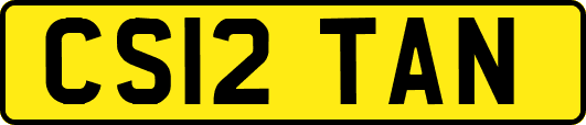 CS12TAN