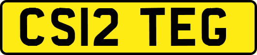 CS12TEG