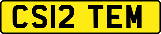 CS12TEM
