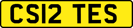 CS12TES