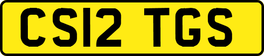 CS12TGS