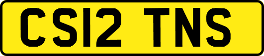 CS12TNS