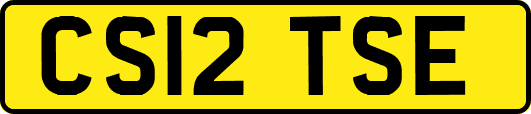 CS12TSE