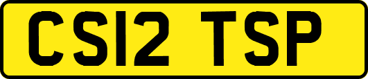 CS12TSP