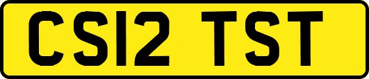 CS12TST