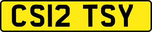 CS12TSY