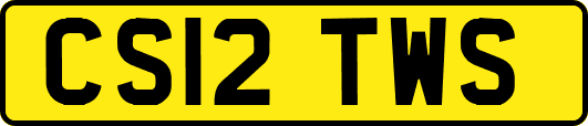 CS12TWS