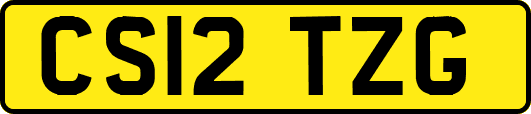 CS12TZG