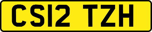 CS12TZH