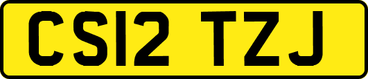 CS12TZJ