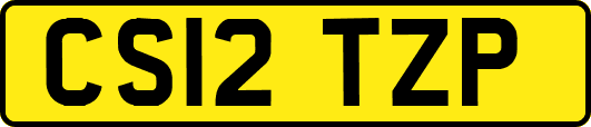 CS12TZP