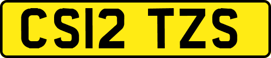 CS12TZS