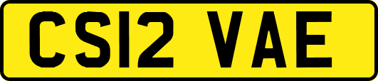CS12VAE