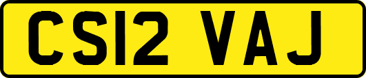 CS12VAJ