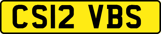 CS12VBS