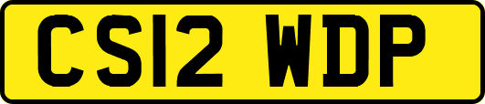 CS12WDP