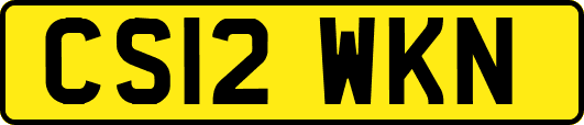 CS12WKN