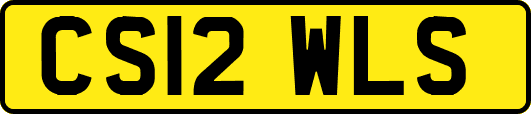 CS12WLS