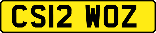 CS12WOZ