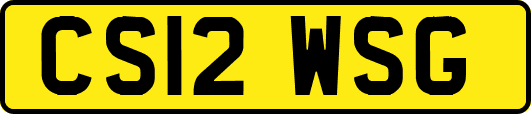 CS12WSG