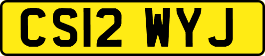CS12WYJ