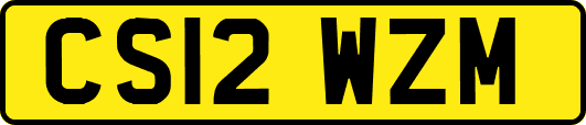 CS12WZM