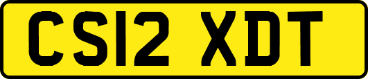 CS12XDT